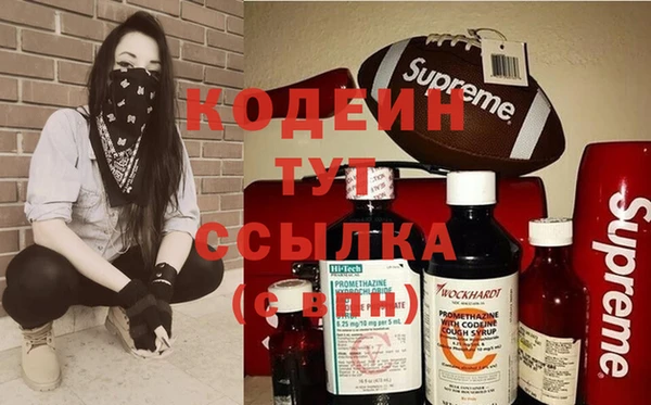 гашик Белокуриха